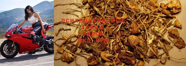 MESCALINE Баксан
