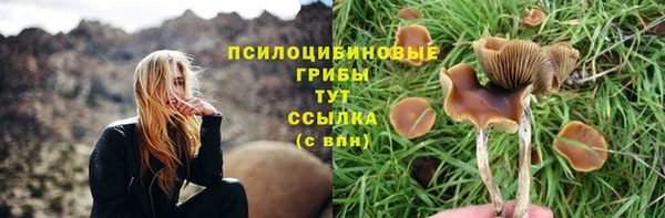 MESCALINE Баксан