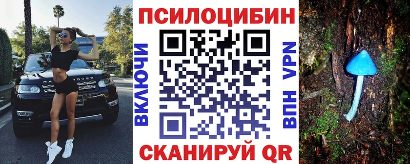 KRAKEN онион  Олёкминск  Псилоцибиновые грибы MAGIC MUSHROOMS 